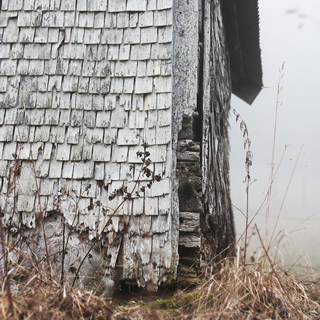 Haut-Jura : brume gelée