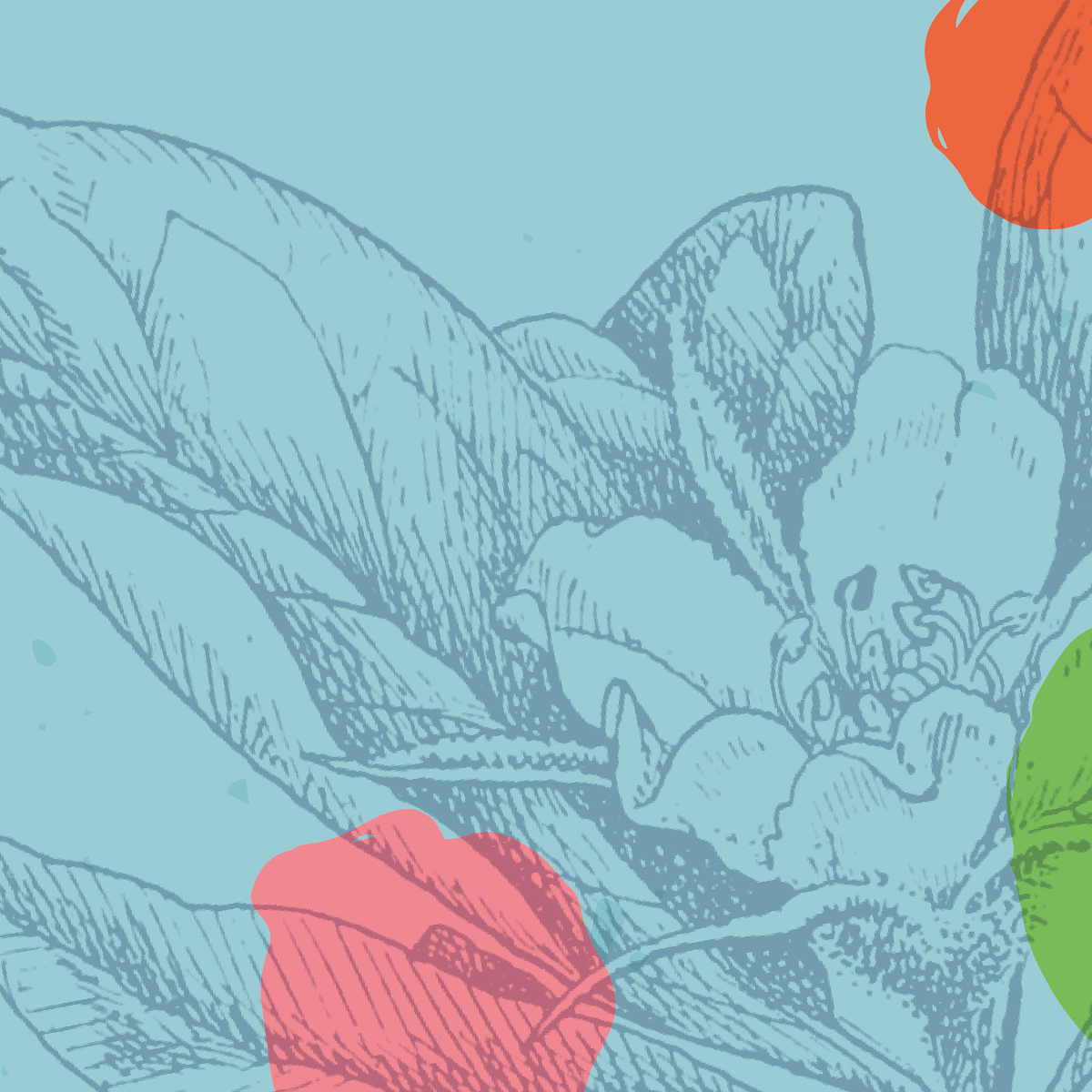 Hors-Saison(s) com. 2026