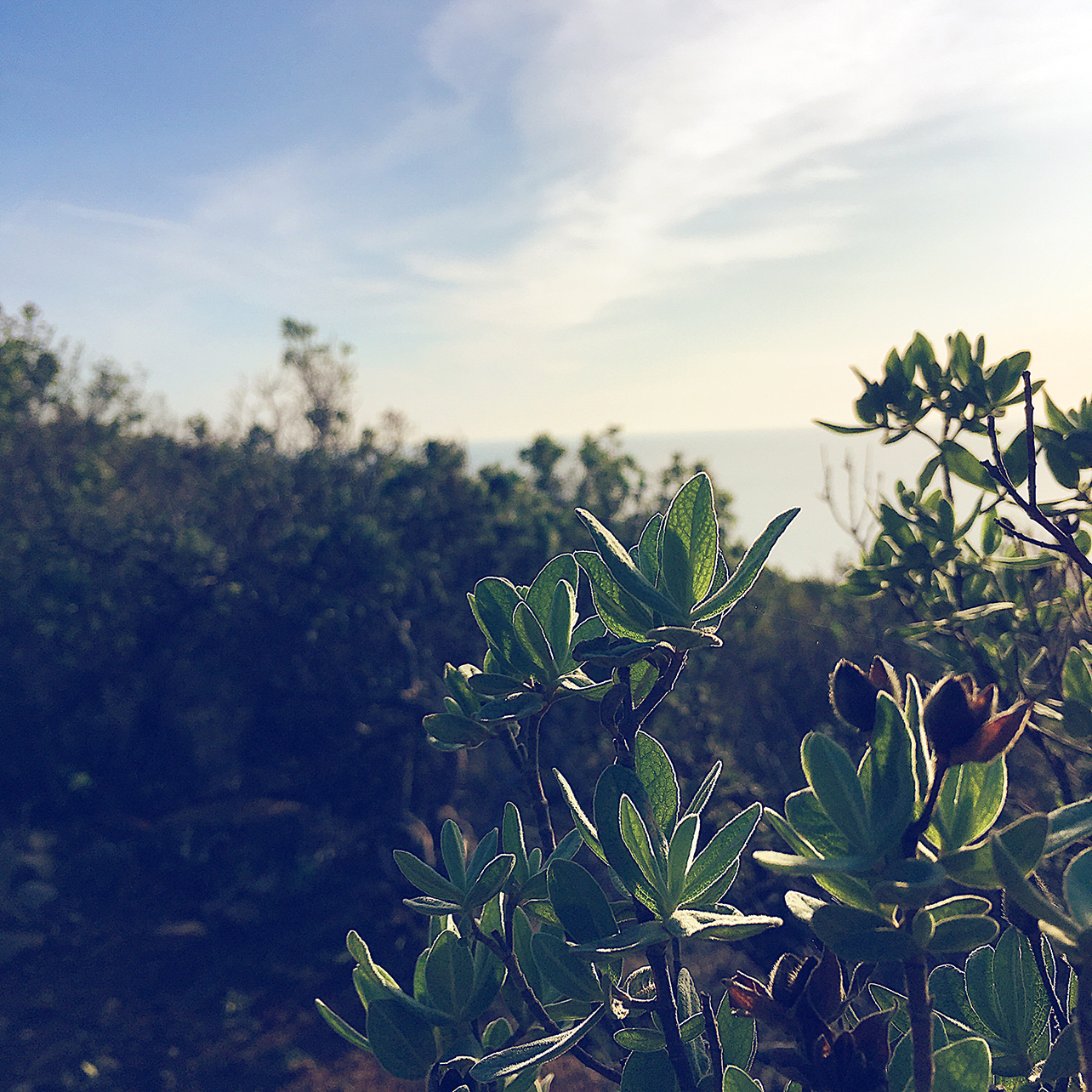 Un long week-end dans le sud